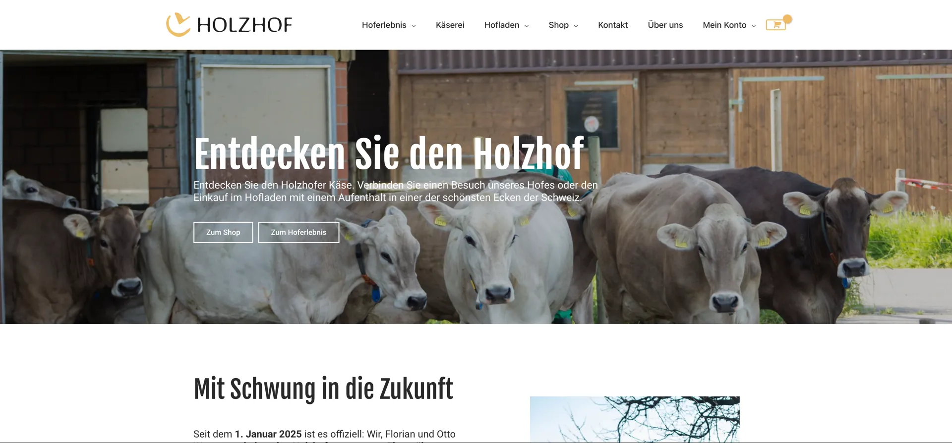 Screenshot · Holzhof