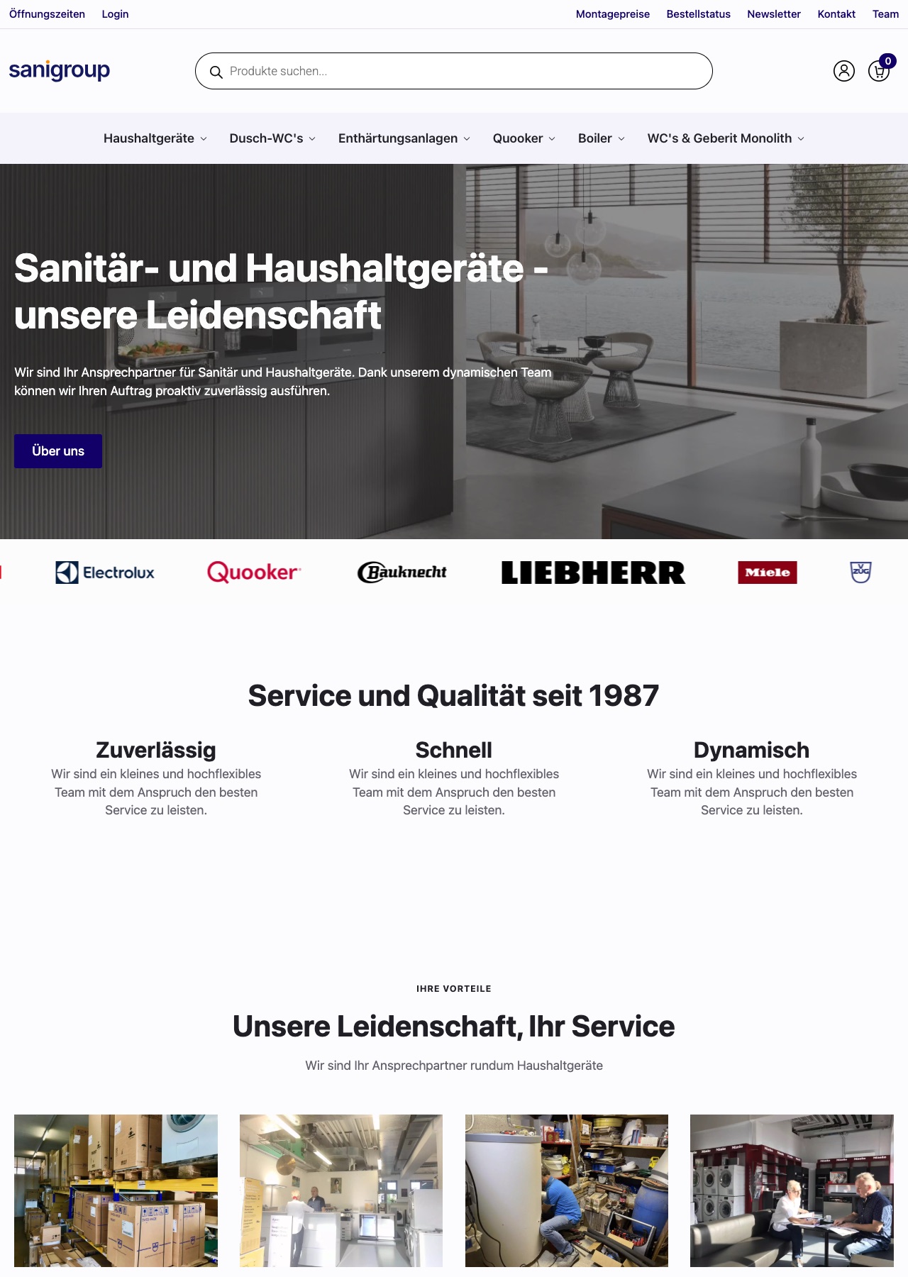 Screenshot Sanigroup GmbH