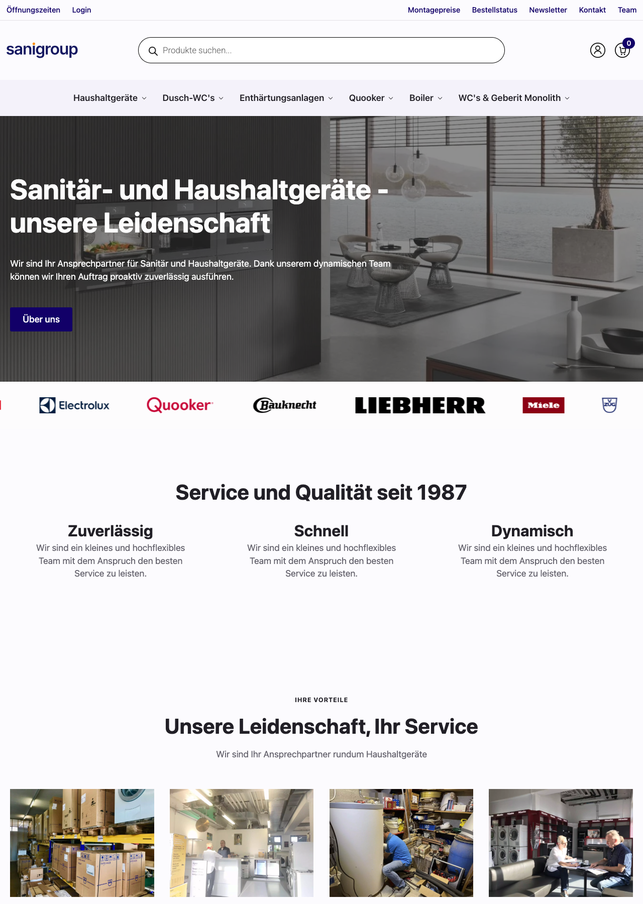 Screenshot Sanigroup GmbH